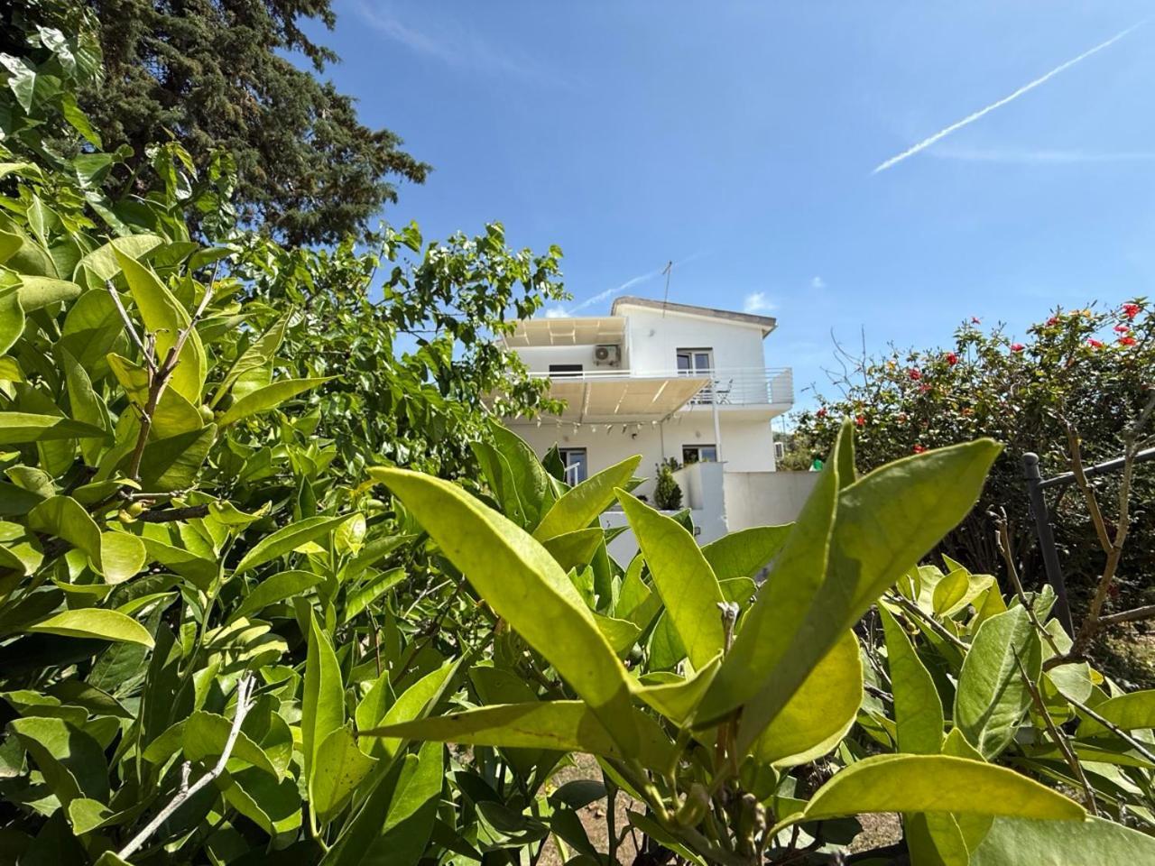 Terra Di Mare Guest House Agrigento Eksteriør bilde